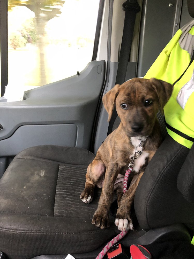 Slide of Mario Plumbing Service