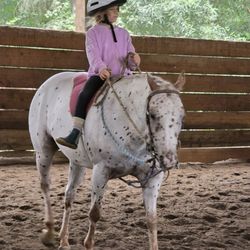 Mone Farms and Training Center - Mini and me.