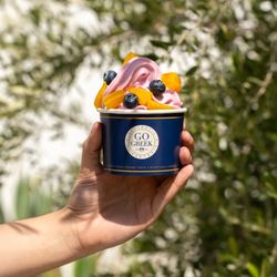 Go Greek Yogurt