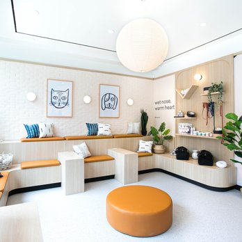 Bond Vet - Kips Bay - Veterinarians Near Me - Manhattan, New York