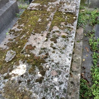 Cimetière du Montparnasse - Old,older,oldest are the graves here - Funeral Services & Cemeteries Near Me - Paris, 75 Cimetière du Montparnasse - Old,older,oldest are the graves here - Funeral Services & Cemeteries Near Me - Paris, 75