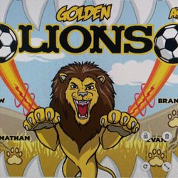 Banners USA - This was when I designed the banner on their website. It came out just like this! The team loves it!