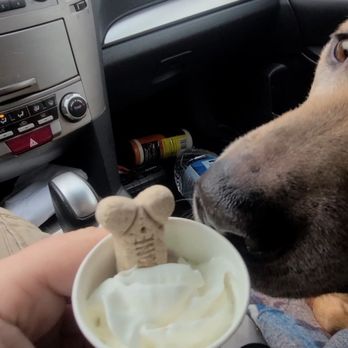 The Human Bean - A Free Scooby snack with the purchase of my espresso - Coffee & Tea Near Me - Warrenton, Oregon