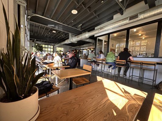 Fox in the Snow Cafe by null