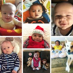 Adoption Connection - Just a few of the babies we helped place in adoptive families in 2017.