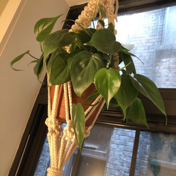 Seasons - Nurseries & Gardening Near Me - Brooklyn, New York