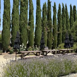 Unti Vineyards
