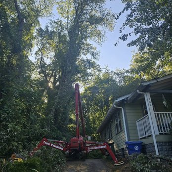 Top Notch Tree Care - Tree Services Near Me - Asheville, North Carolina Top Notch Tree Care - Tree Services Near Me - Asheville, North Carolina