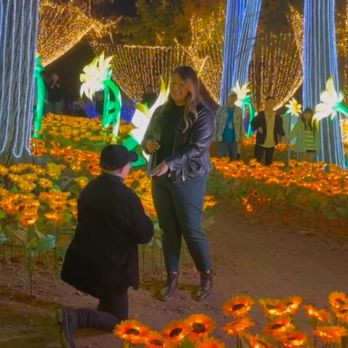 Imaginarium At Fairplex - Festivals Near Me - Pomona, California Imaginarium At Fairplex - Festivals Near Me - Pomona, California