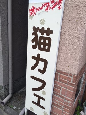 Cat Cafe Tango Pet Services 右京区西院 西平町22 京都市 京都府 Japan Restaurant Reviews Phone Number Yelp
