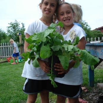 Gardens of the Fox Cities - Summer Youth Gardening Programs - Botanical Gardens Near Me - Appleton, Wisconsin Gardens of the Fox Cities - Summer Youth Gardening Programs - Botanical Gardens Near Me - Appleton, Wisconsin