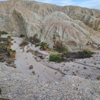 Covered Wagon Tours - Tours Near Me - Thousand Palms, California Covered Wagon Tours - Tours Near Me - Thousand Palms, California