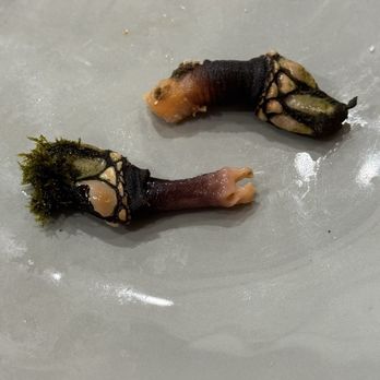Marisco na Praça - Goose Barnacles - Seafood Near Me - Cascais, 11