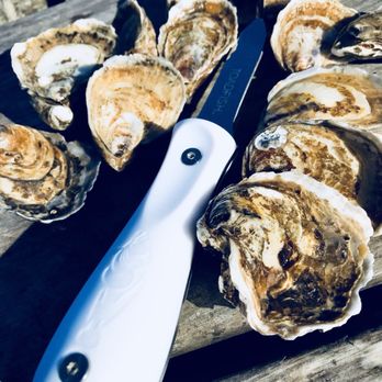 Hog Island Oyster - Order a Toadfish commercial grade oyster knife if you intend to do this sort of thing more often ... - Seafood Near Me - Marshall, California