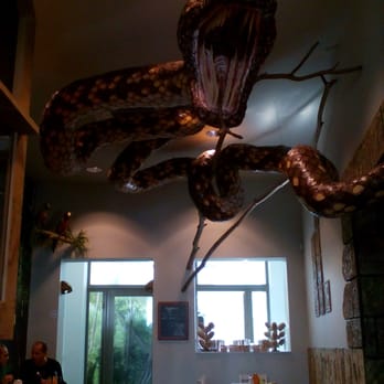 Choco Jungle Bar - Muy original la decoración - Cafes Near Me - Bruges, VWV Choco Jungle Bar - Muy original la decoración - Cafes Near Me - Bruges, VWV
