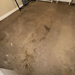 D&G Carpet Cleaning - Cairo's mess.