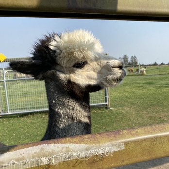 Crescent Moon Ranch - Ranches Near Me - Terrebonne, Oregon Crescent Moon Ranch - Ranches Near Me - Terrebonne, Oregon