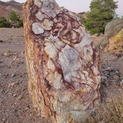 Nature Discovery Trail and Rock Garden - The rocks are vibrant with colors and striations.