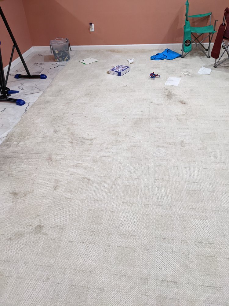 THE CARPET DOCTORS Updated October 2024 22 Photos & 68 Reviews