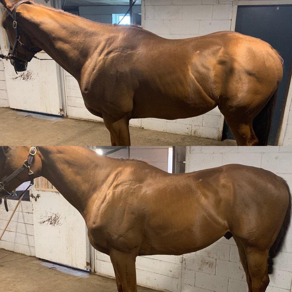 BALANCED BODY WORKS Updated September 2024 Ridgeville, Ontario