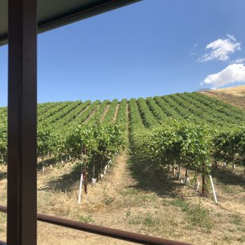 Orchard & Vine - The wine vineyard - Pick Your Own Farms Near Me - Brentwood, California Orchard & Vine - The wine vineyard - Pick Your Own Farms Near Me - Brentwood, California