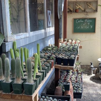 Norens Nursery - Nurseries & Gardening Near Me - Claremont, California Norens Nursery - Nurseries & Gardening Near Me - Claremont, California
