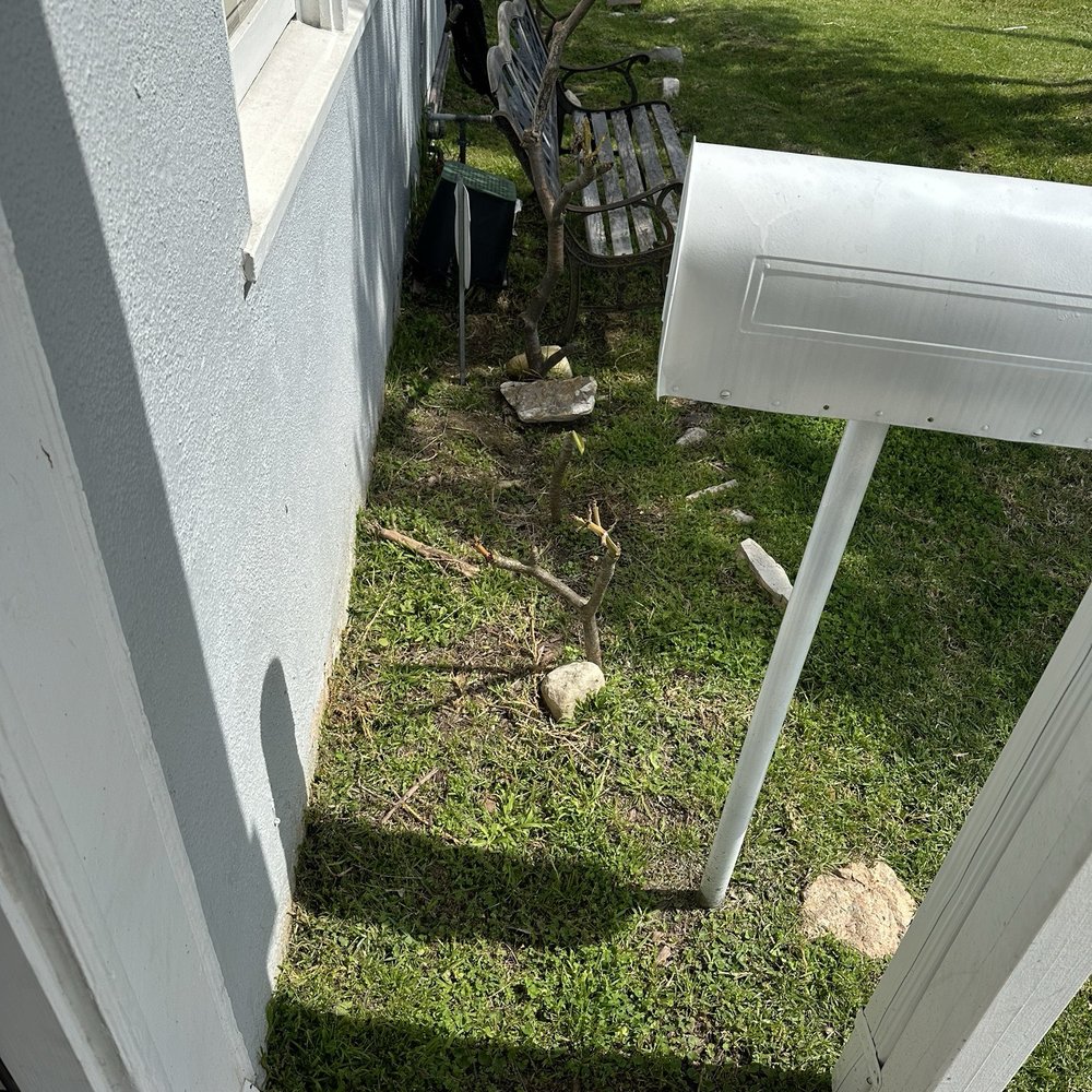 GG'S Green Services - Front yard before - Lawn Services Near Me