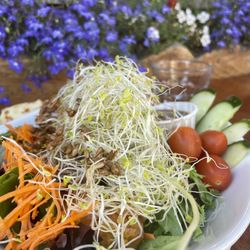 The Tree-House Cafe