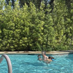Sheraton Redding Hotel at the Sundial Bridge - Clean pool, fun times!