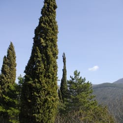 Trattoria Quello Che C'e' C'e'