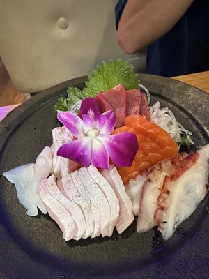 Sushi Damu, PAYCE by null