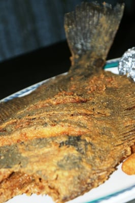 Surf & Turf Lodge by null