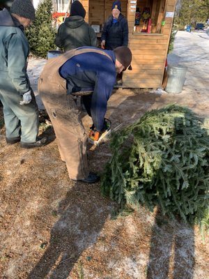 KOLARIK CHRISTMAS TREE FARM - Updated November 2024 - Suttons Bay 