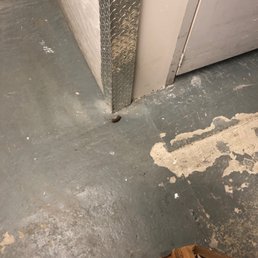 They have mice. They have mice.