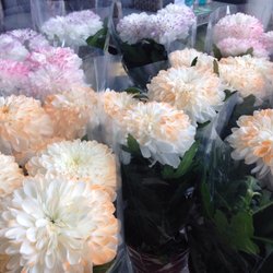 Dobbies Garden Centres - Apparently pastel ombré Is in here too...