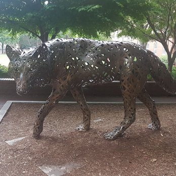 NC State University - Colleges & Universities Near Me - Raleigh, North Carolina