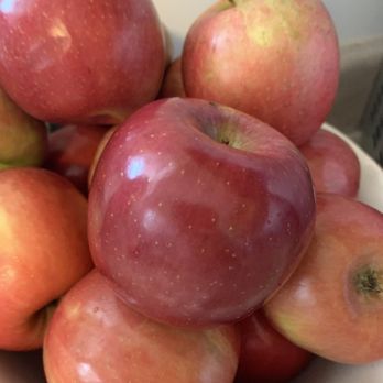 The Berry Man - Apples - Fruits & Veggies Near Me - Santa Barbara, California The Berry Man - Apples - Fruits & Veggies Near Me - Santa Barbara, California