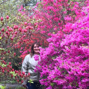 Kinney Azalea Gardens - Rhododendrons and Azaleas with Reverend Charlene Hicks - Botanical Gardens Near Me - South Kingstown, Rhode Island Kinney Azalea Gardens - Rhododendrons and Azaleas with Reverend Charlene Hicks - Botanical Gardens Near Me - South Kingstown, Rhode Island