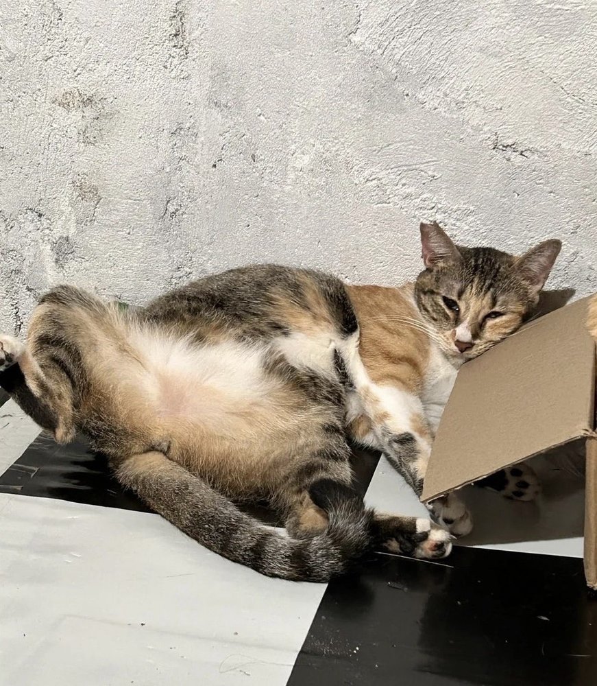 Slide of JEG Plumbing