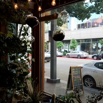 Bae Bae's Kitchen - Front window seating with plants - Korean Near Me - Pittsburgh, Pennsylvania Bae Bae's Kitchen - Front window seating with plants - Korean Near Me - Pittsburgh, Pennsylvania