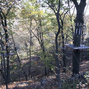 Bronx Zoo Treetop Adventure - Advanced blue course - Challenge Courses Near Me - Bronx, New York