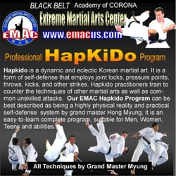 Extreme Martial Arts Center - EMAC Professional Hapkido program has a huge following as a practical and extremely effective method of self-defense.