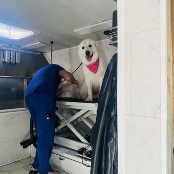 Pet Beauty Mobile Grooming - Pet Groomers Near Me Pet Beauty Mobile Grooming - Pet Groomers Near Me