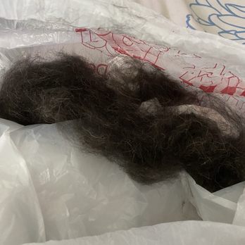Petco - Dog hair we had to comb out immediately after bringing him home. - Pet Training Near Me - Macedonia, Ohio Petco - Dog hair we had to comb out immediately after bringing him home. - Pet Training Near Me - Macedonia, Ohio