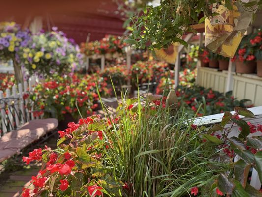 Jenny's Farmers Market