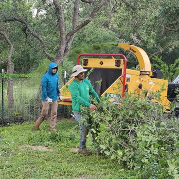 1. Ortiz Tree Service