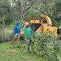 Photo of Ortiz Tree Service
