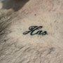 Photo of True Blue Tattoo
