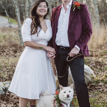 Burke Florist - Dog flower collar and boutineer - Florists Near Me - Fairfax, Virginia Burke Florist - Dog flower collar and boutineer - Florists Near Me - Fairfax, Virginia