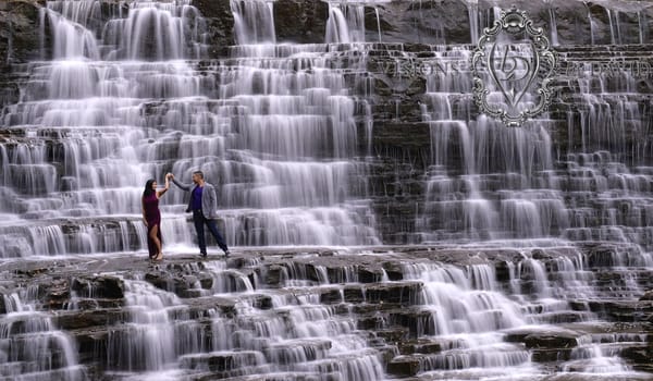 Albion Falls by null